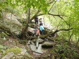 picture thumbnail