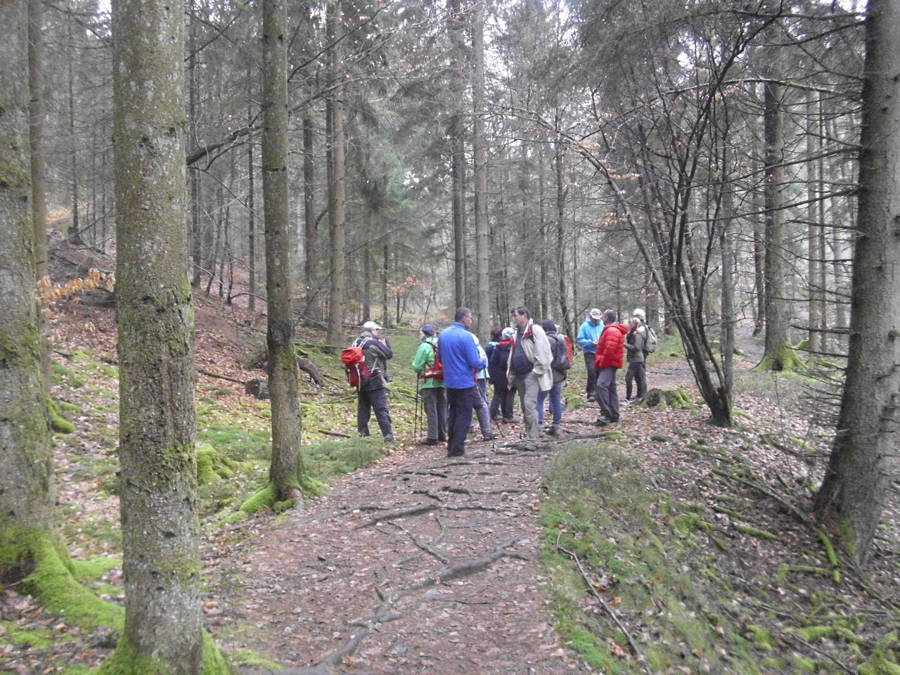 Skaliertes Bild /tmp/frwa/BILD0017.JPG 