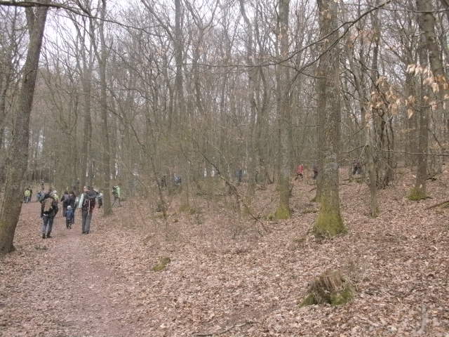 Skaliertes Bild originals/BILD0027.JPG 