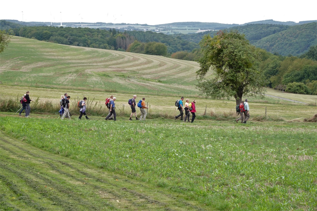 Skaliertes Bild /tmp/tmp/DSC08012.JPG 